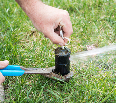 Rod’s Sprinkler Solutions