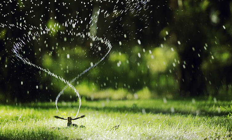 Rod’s Sprinkler Solutions