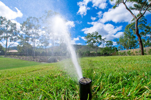 Sprinkler watering lawn grass