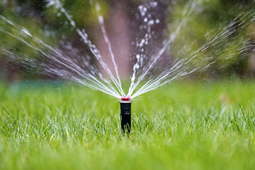 Garden Watering Systems